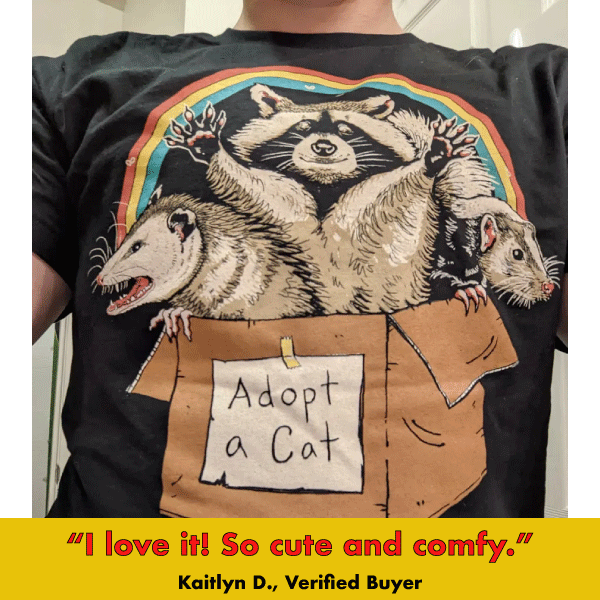 'Forbidden Cats' Shirt - Studio 653